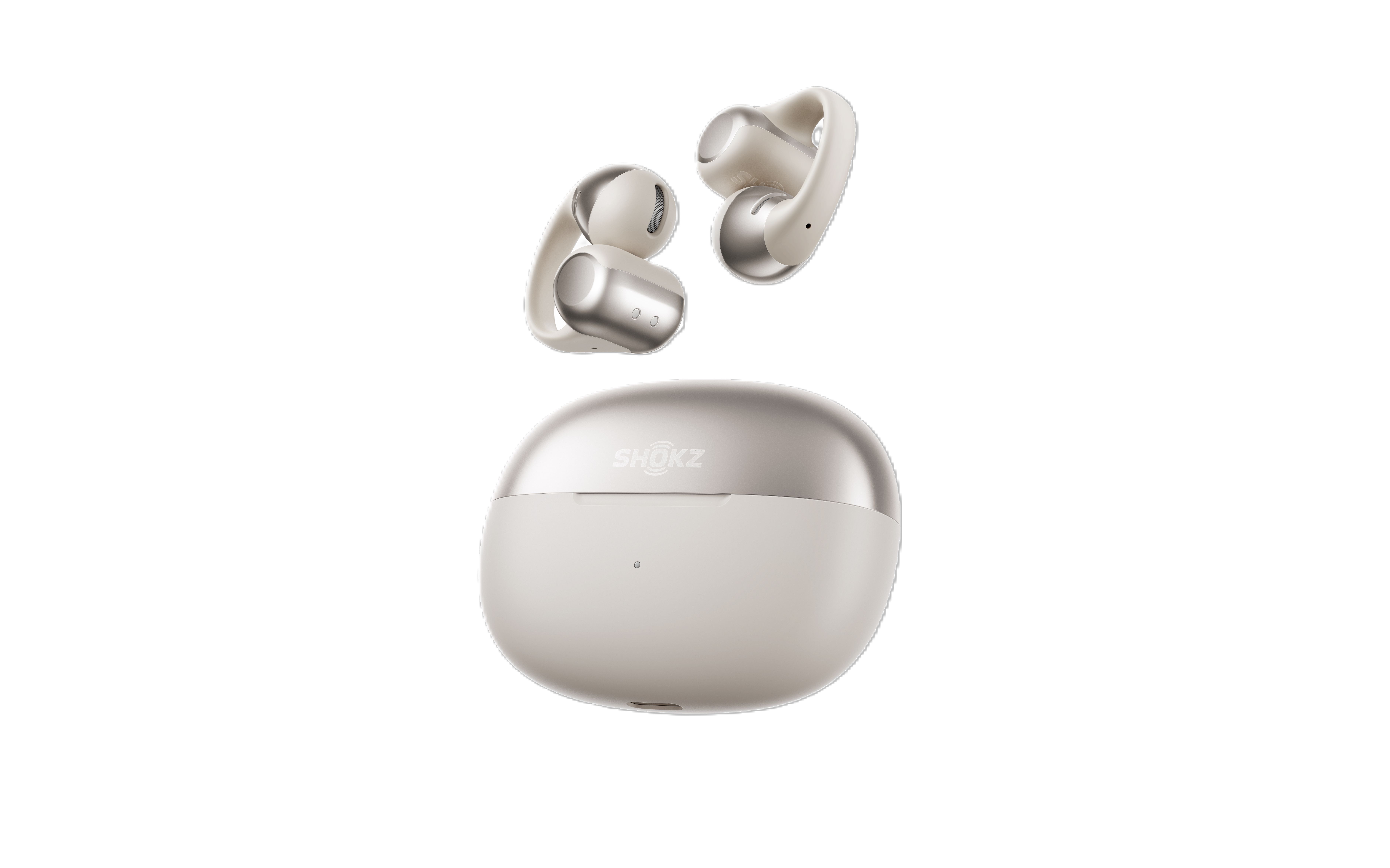 Shokz OpenDots One Open-Ear True Wireless Earbuds E310, , large image number 1