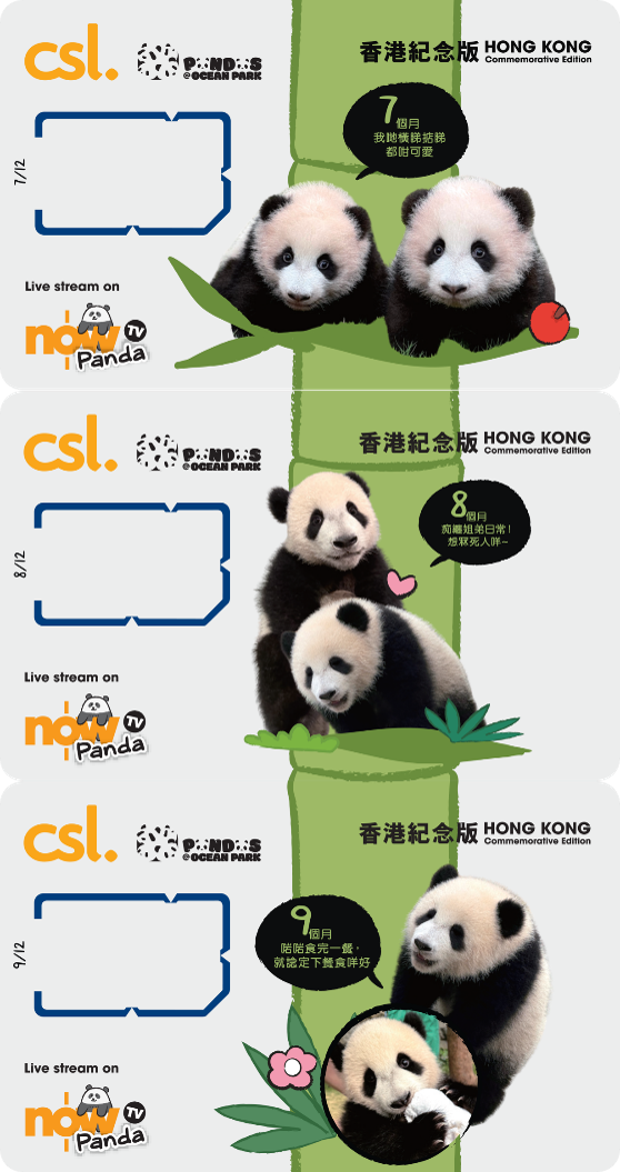 5G 「海洋公園大熊貓」香港紀念版12張電話卡連紀念盒套裝 image number 3