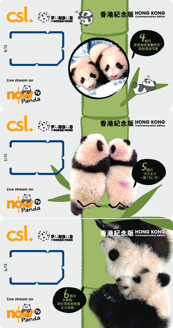 5G 「海洋公園大熊貓」香港紀念版12張電話卡連紀念盒套裝 image number 2