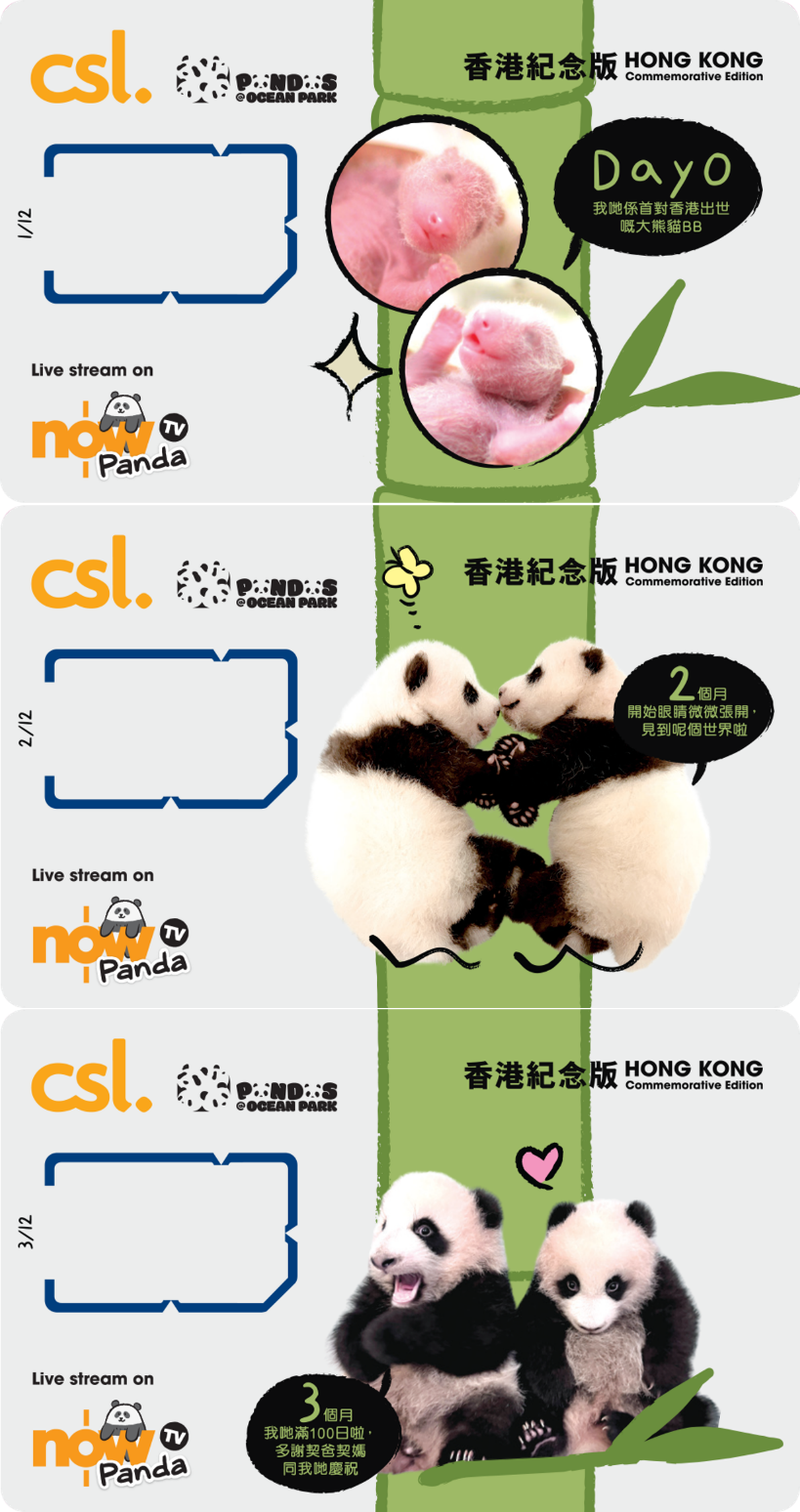 5G 「海洋公園大熊貓」香港紀念版12張電話卡連紀念盒套裝 image number 1