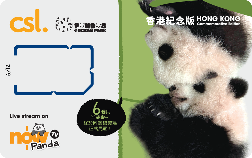 5G Panda Hong Kong edition SIM card (6 Month)