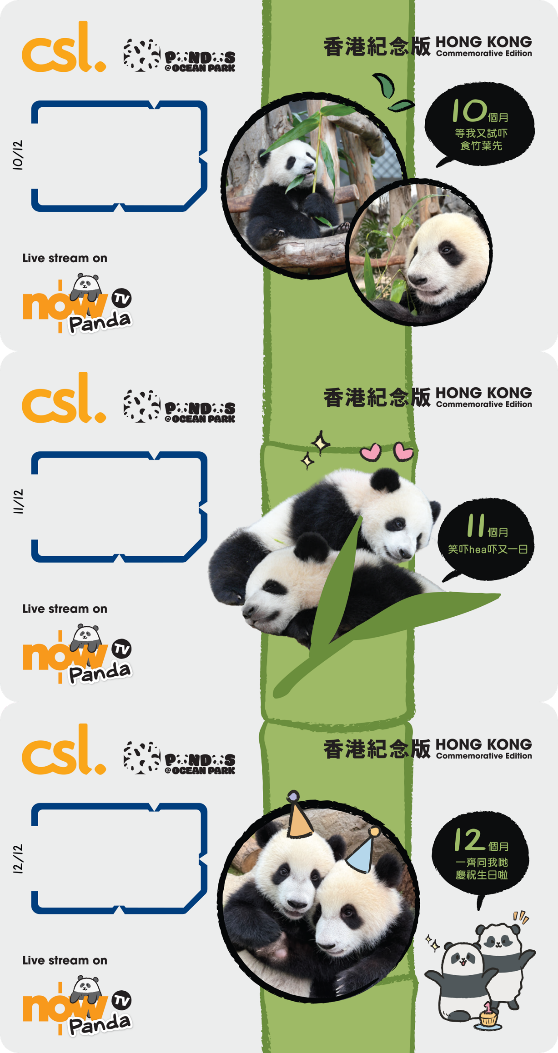 5G 「海洋公園大熊貓」香港紀念版12張電話卡連紀念盒套裝 image number 4