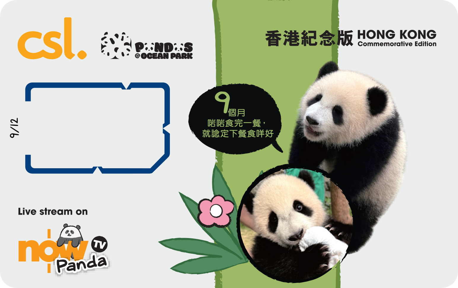 5G Panda Hong Kong edition SIM card (9 Month), , large image number 0